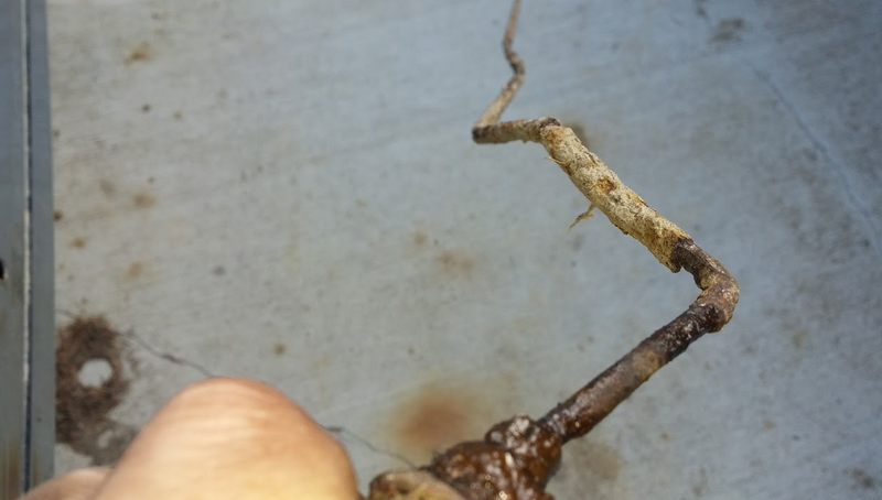 Illustration for article titled Here's How You Can Replace Your Rusty Brake Lines